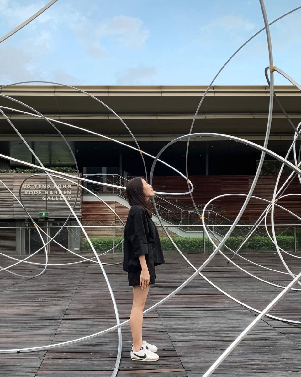 national gallery singapore steel wires rooftop