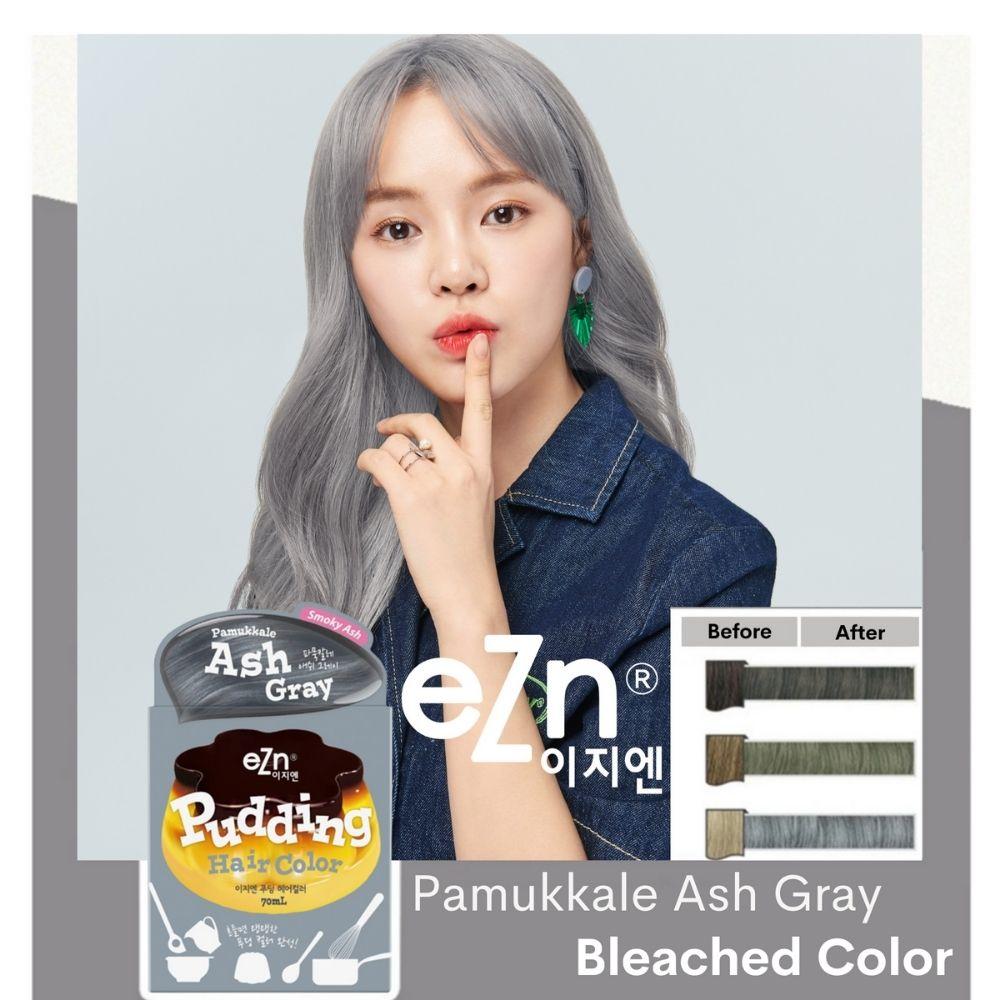 eZn Shaking Pudding Hair Color Ash Gray