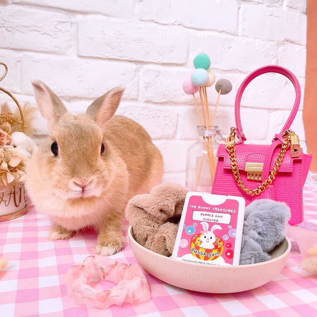The Bunny Treasures hand sanitisers singapore featuring the bubble gum flavour