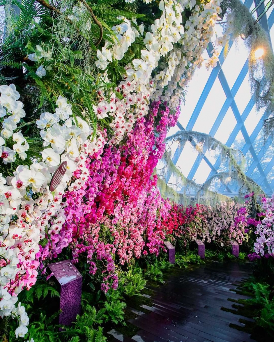 Orchid Haven Gardens by the Bay