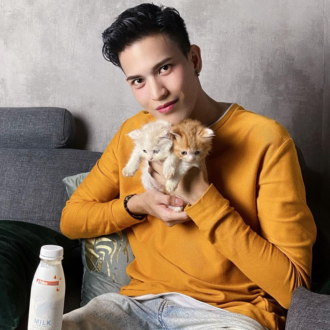 Paws Claws Cat Cafe owner