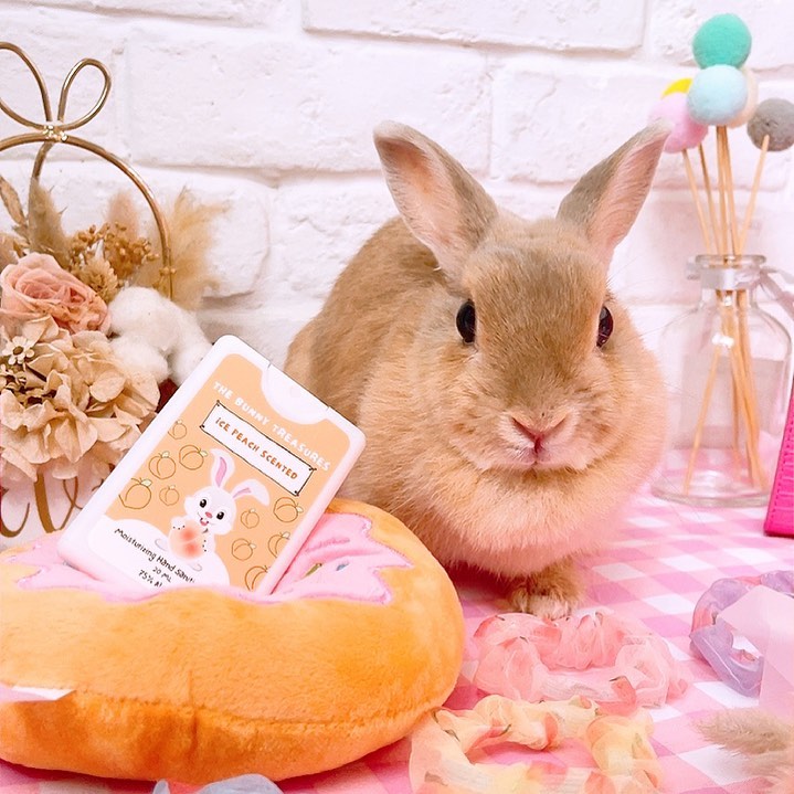 The Bunny Treasures hand sanitisers singapore featuring the ice peach flavour