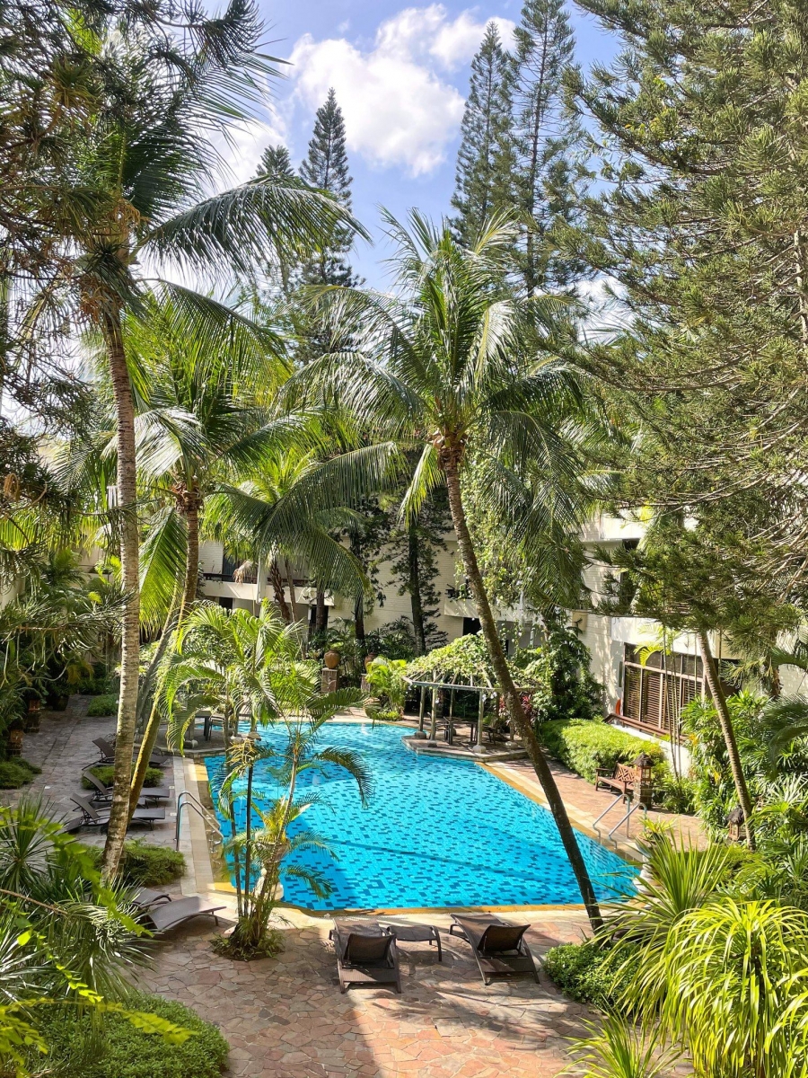 Goodwood Park Hotel swimming pool singapore