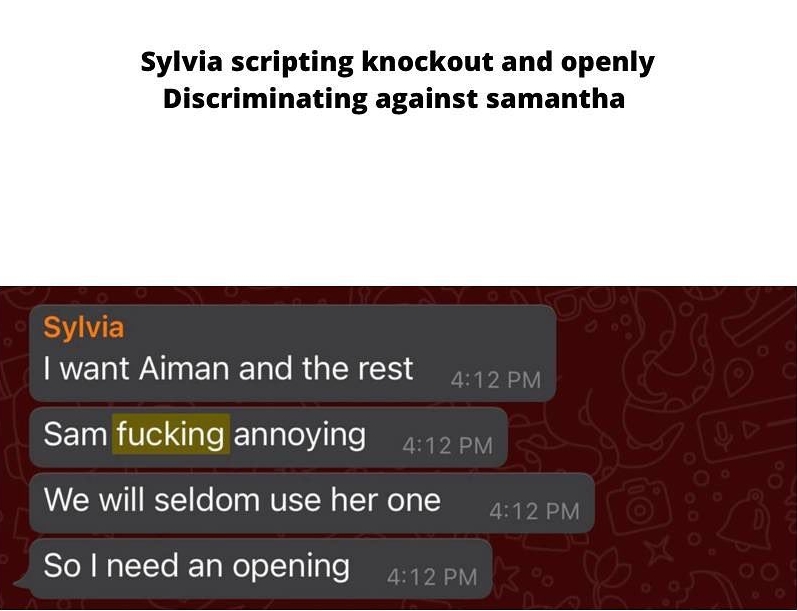 Sylvia Chan Exposé leaked text vulgarities