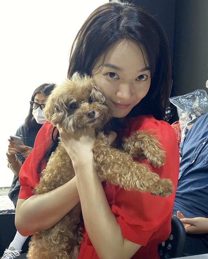 Shin Min Ah and her toy poodle