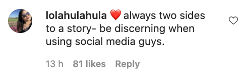 An Instagram user's comment on Sylvia's apology statement