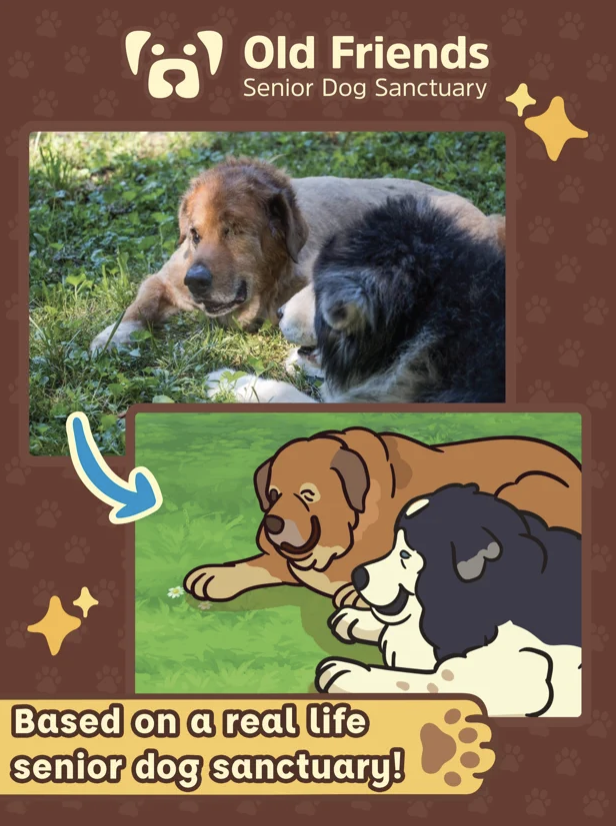 Old Friends Dog Game was inspired by the Old Friends Senior Dog Sanctuary