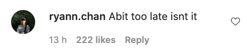 An Instagram user's comment on Sylvia's apology statement
