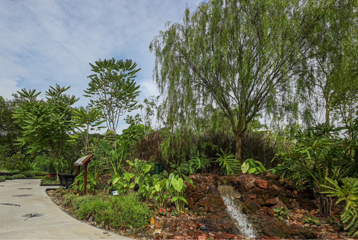Therapeutic Garden Jurong Lake Gardens