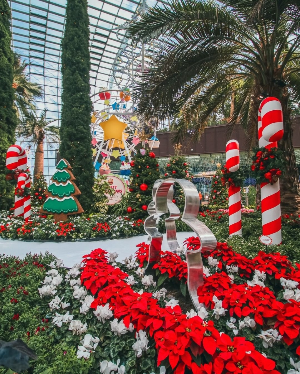 Poinsettia Wishes 2021 At Gardens by the Bay's Flower Dome