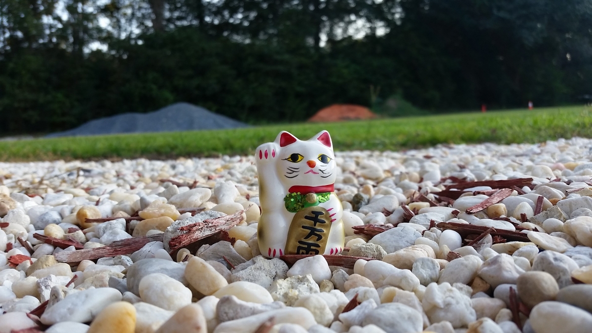 Maneki-neko fortune cat at a stone garden