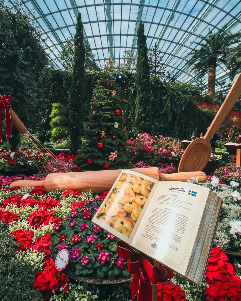 Poinsettia Wishes 2021 At Gardens by the Bay's Flower Dome