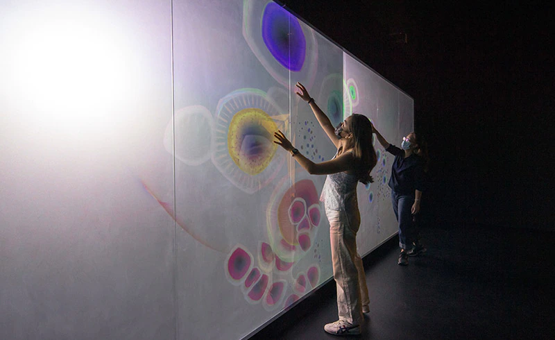 Virtual Realms ArtScience Museum Singapore