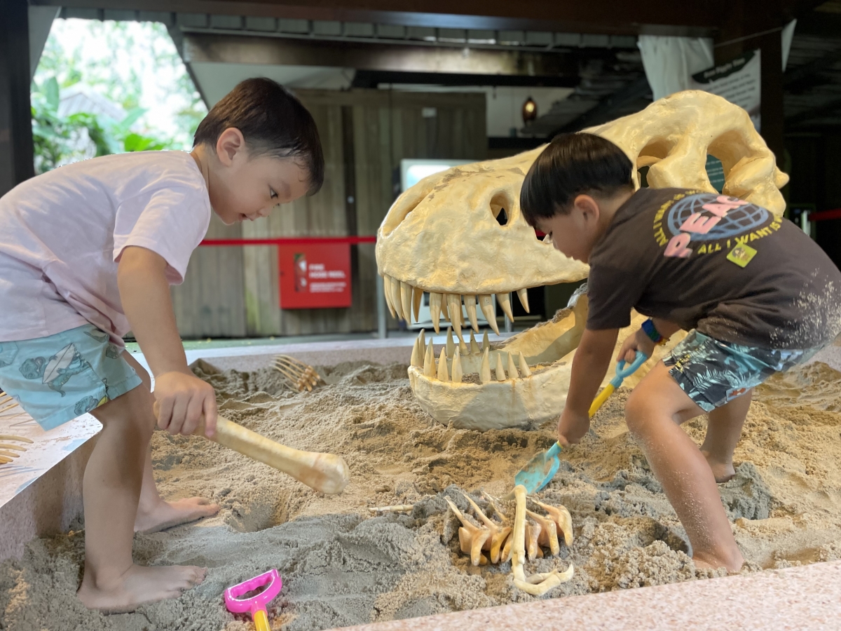 Kids activities at Brickosaurs World Singapore Zoo