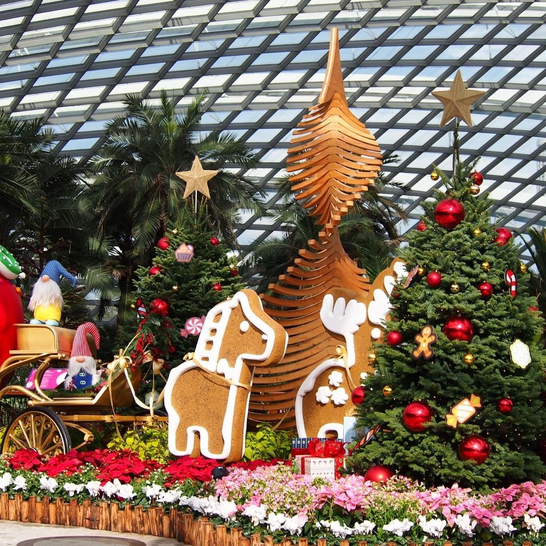 Poinsettia Wishes 2021 At Gardens by the Bay's Flower Dome
