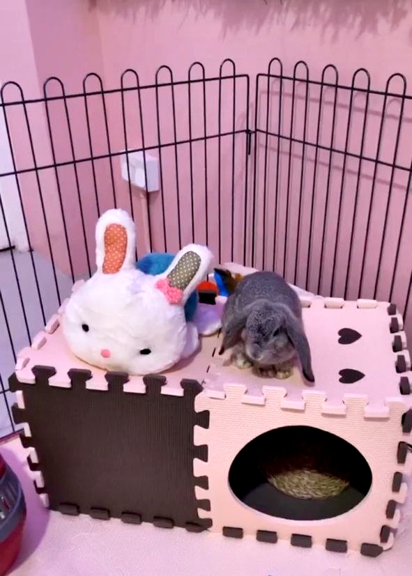 Skinny Bunny Cafe Singapore