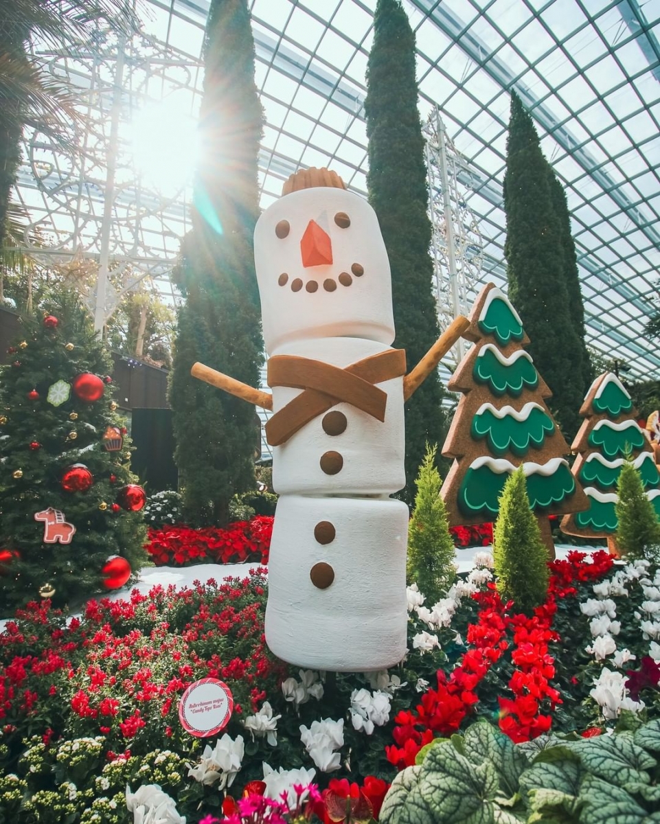 Poinsettia Wishes 2021 At Gardens by the Bay's Flower Dome