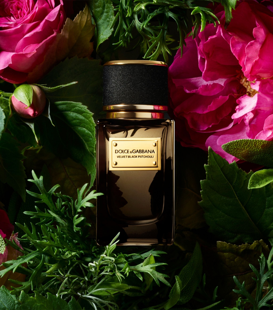 Dolce & Gabbana Velvet Black Patchouli perfume Singapore