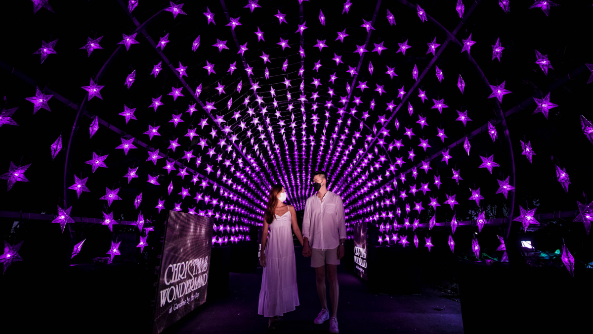 Christmas Wonderland Gardens by the Bay 2021