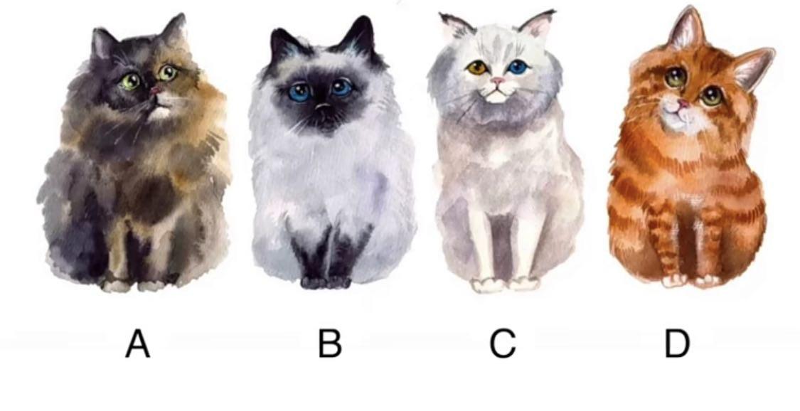 Trending test: Pick a cat to determine your current stress levels