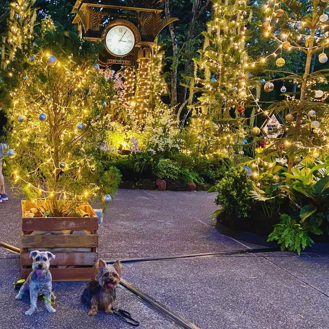 Singapore Botanic Gardens Christmas 2021 decorations