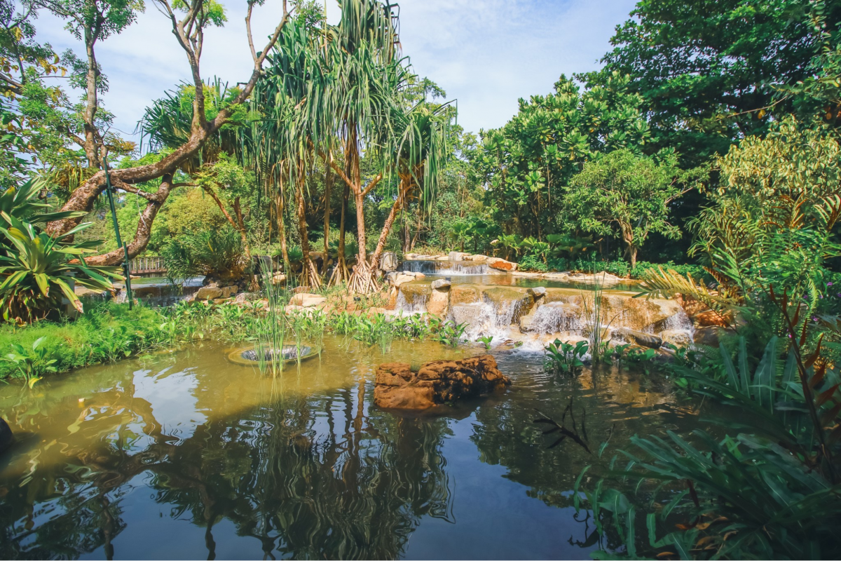 Kingfisher Wetlands Gardens by the Bay