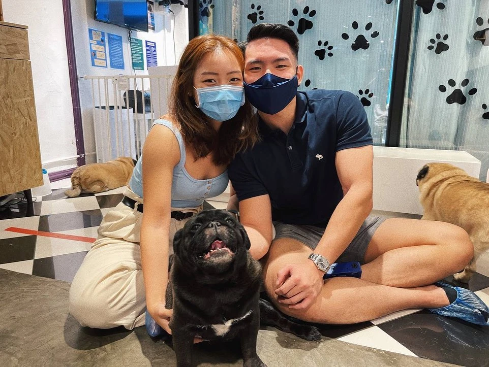 What The Pug dog cafe Singapore