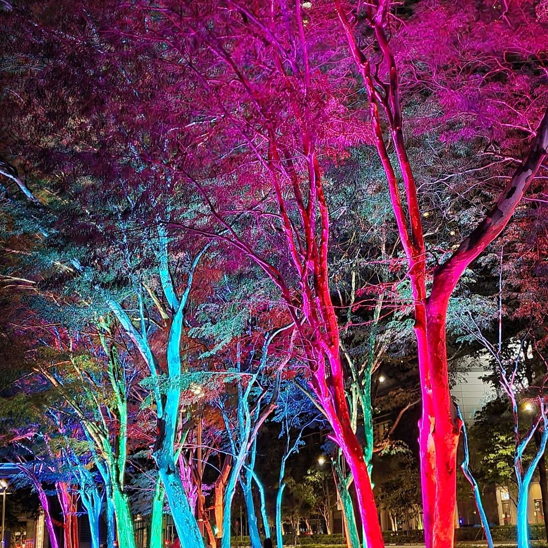 Rainbow trees Marina Bay Christmas 2021
