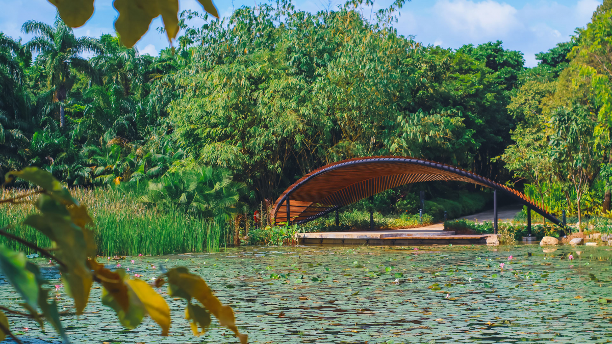 Kingfisher Wetlands Gardens by the Bay