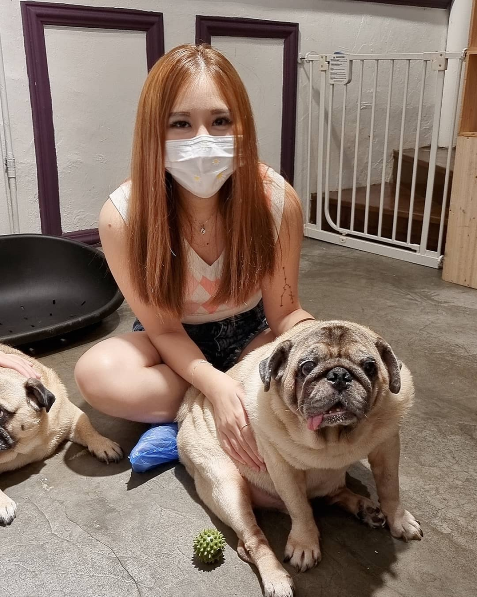 What The Pug dog cafe in Singapore