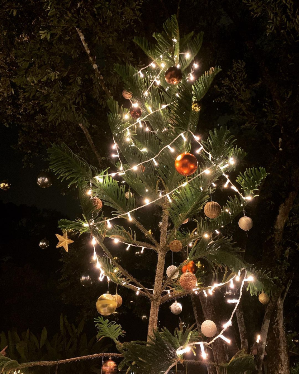 Singapore Botanic Gardens Christmas 2021 decorations