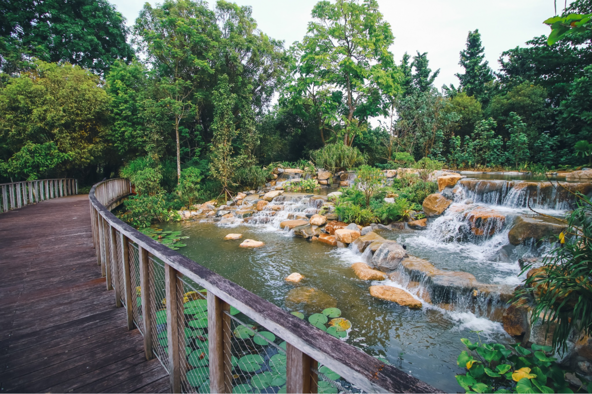 Kingfisher Wetlands Gardens by the Bay