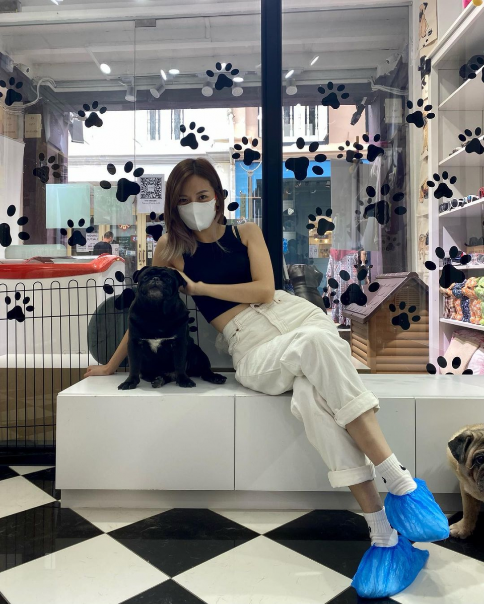What The Pug dog cafe in Singapore