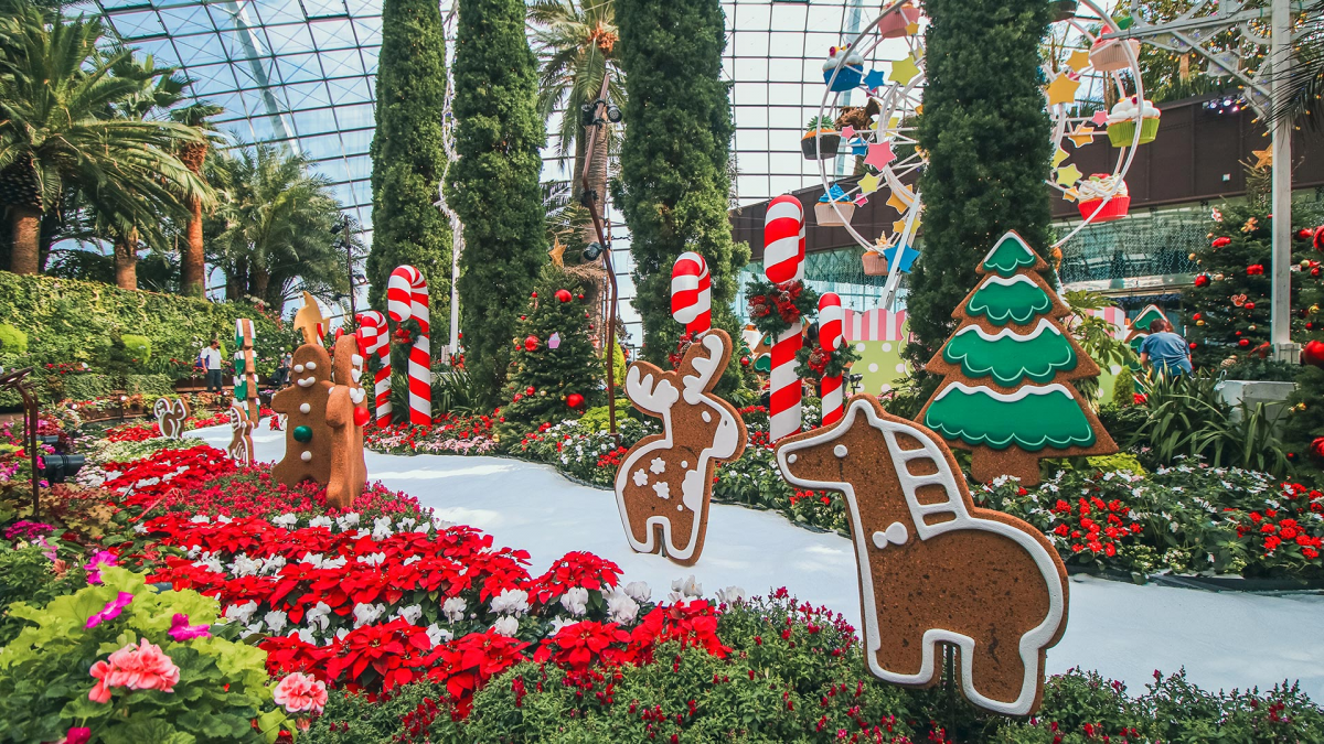 Poinsettia Wishes Gardens by the Bay 2021
