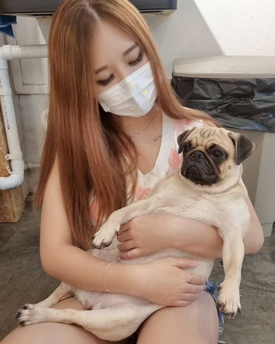 What The Pug dog cafe in Singapore
