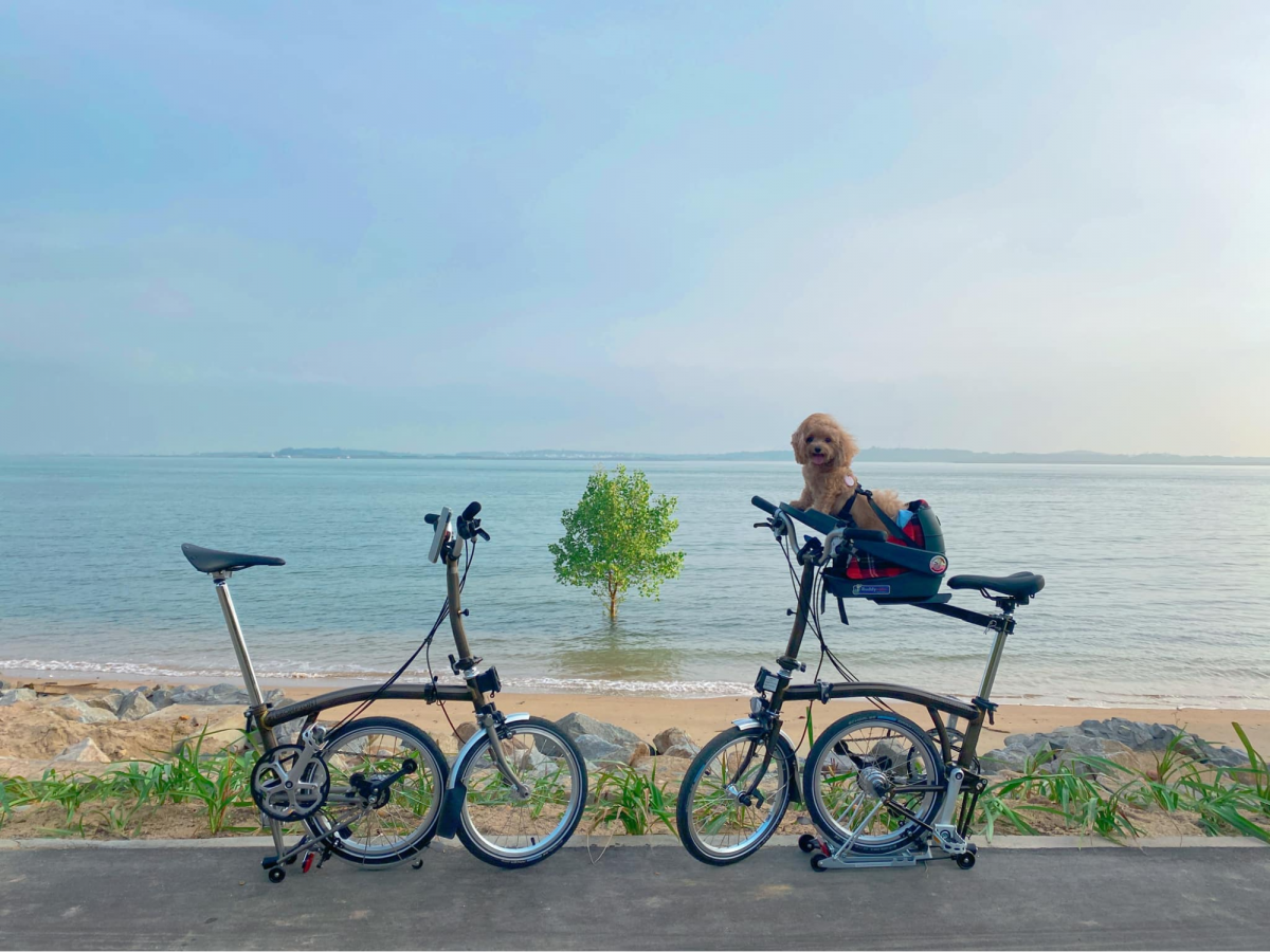 Changi Bay Park Connector Singapore