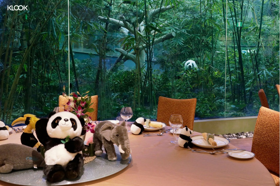 Private dining at River Wonders Singapore with a view of the Giant Panda forest