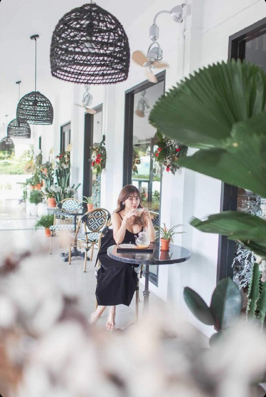 Under Der Linden Singapore