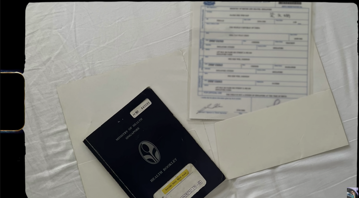 Naomi Neo's birth certificate and health booklet