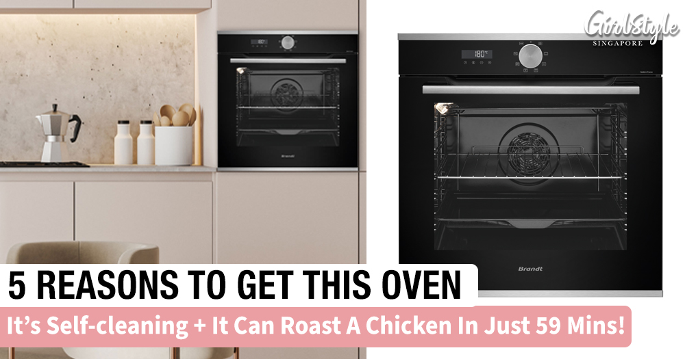 Brandt Steamassisted Catalytic Oven 5 Reasons To Get This Self