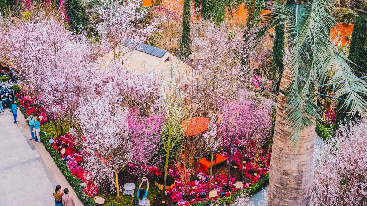 Sakura at Gardens by the Bay 2022