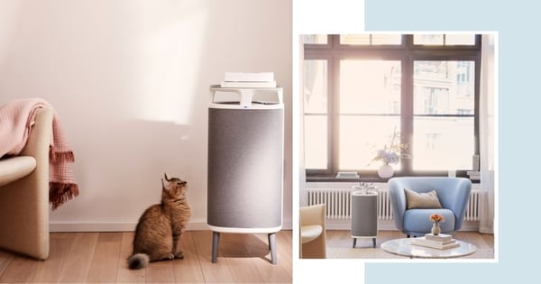 There Are 5 Types Of People Who Absolutely Need An Air Purifier - Are You One Of Them?