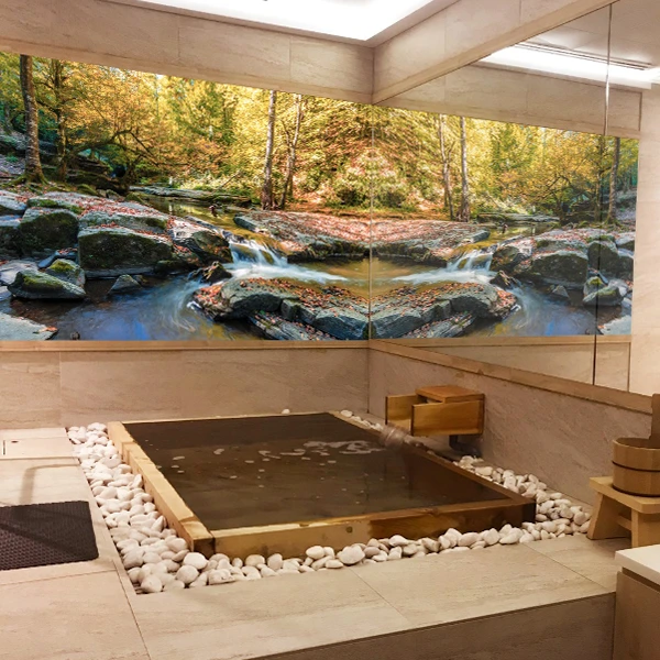 Elements Wellness couple onsen deal