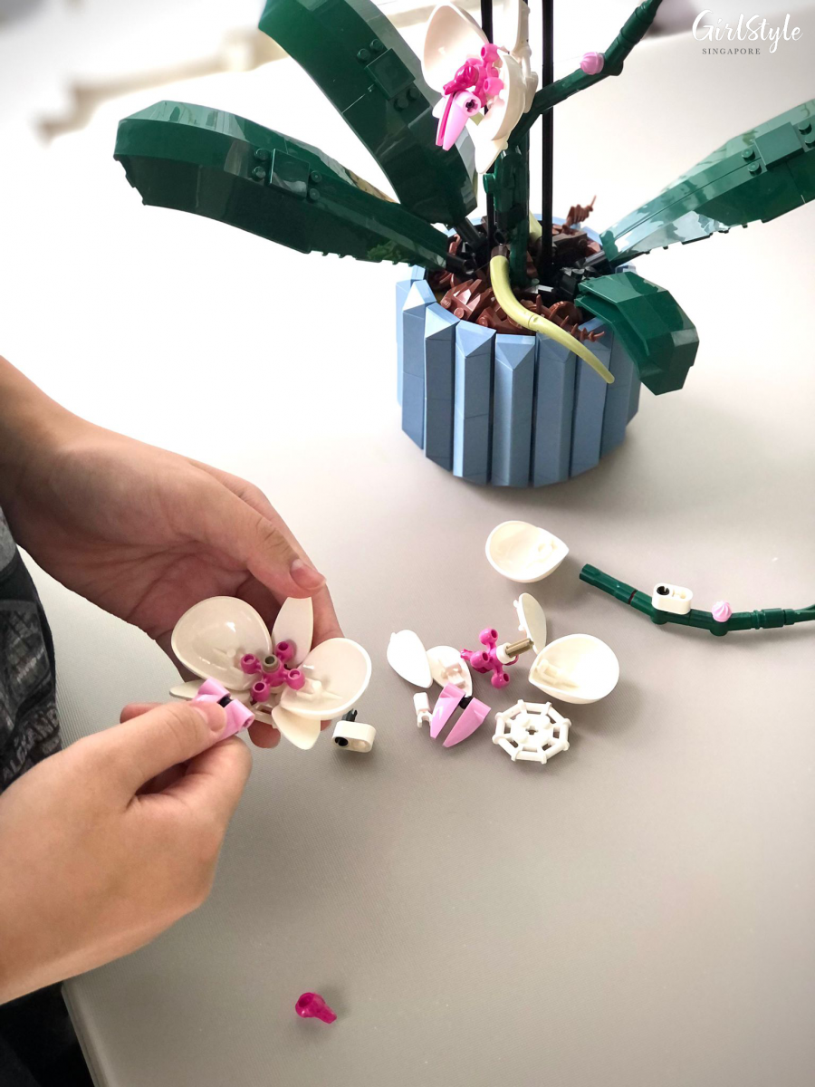 Assembling the LEGO Botanical Collection - Orchid