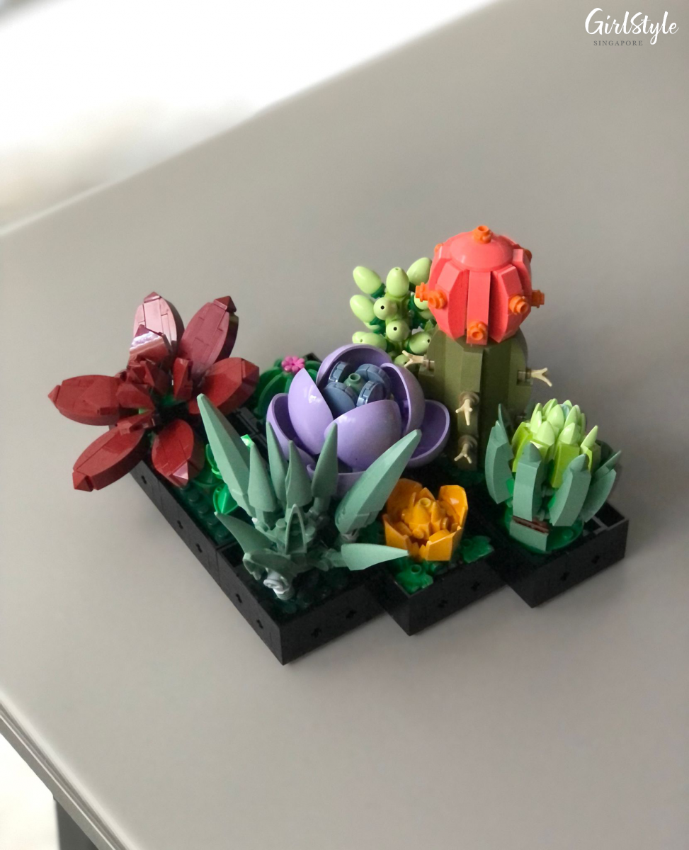 LEGO Botanical Collection - Succulents