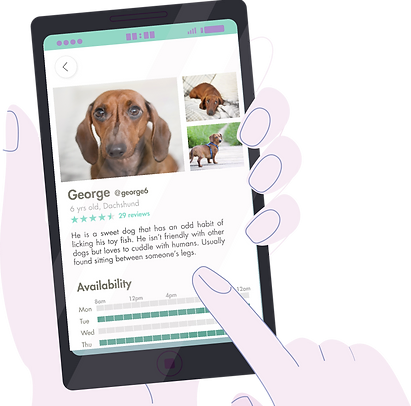 Furpal Singapore dog borrowing