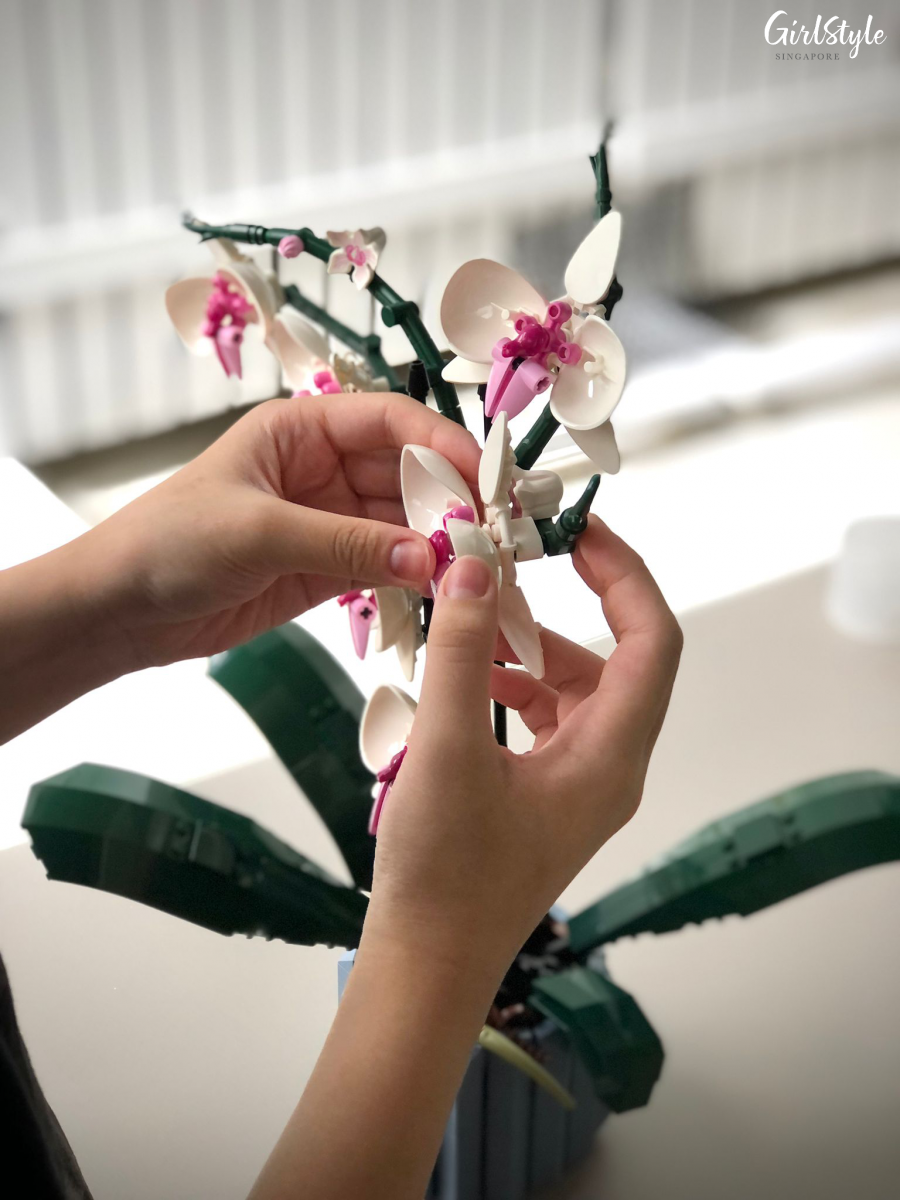 Assembling the LEGO Botanical Collection - Orchid