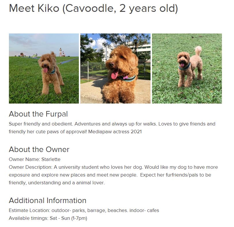 Furpal Singapore dog borrowing