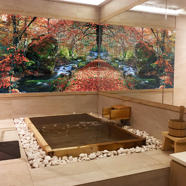 Elements Wellness Couple Onsen promotion 2022