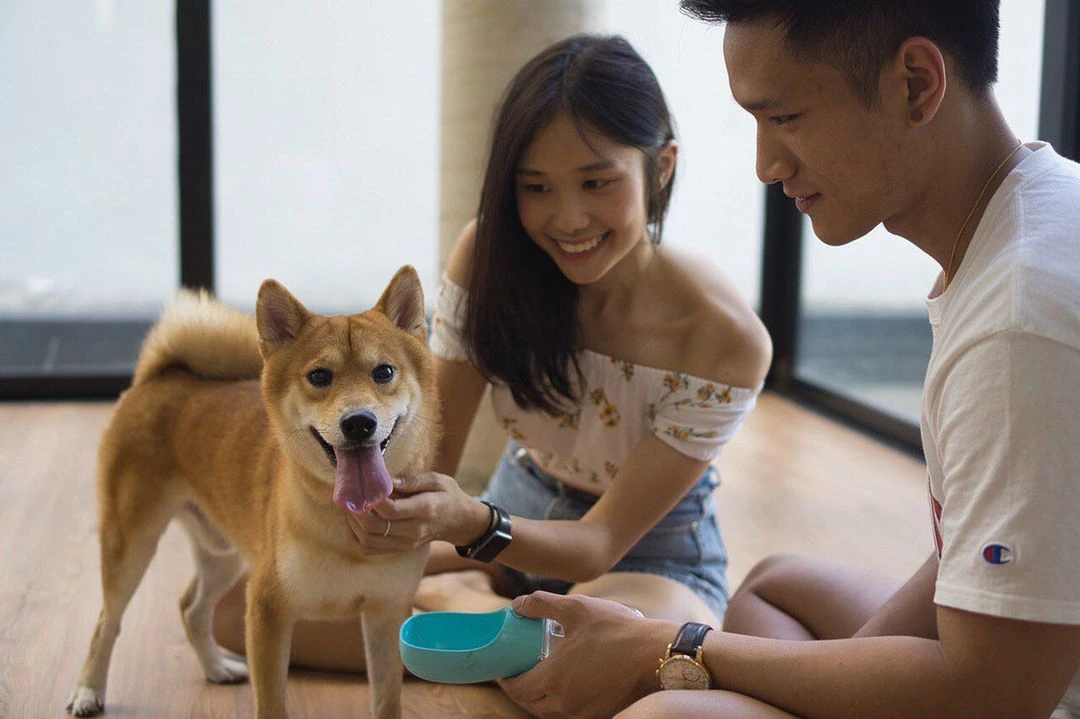 Furpal dog rental Singapore